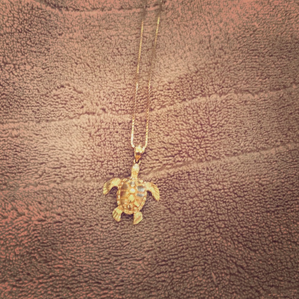 Gold Turtle Necklace